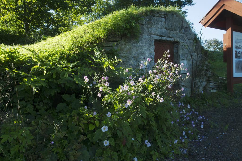 Loefwings B&B Broddetorp Экстерьер фото